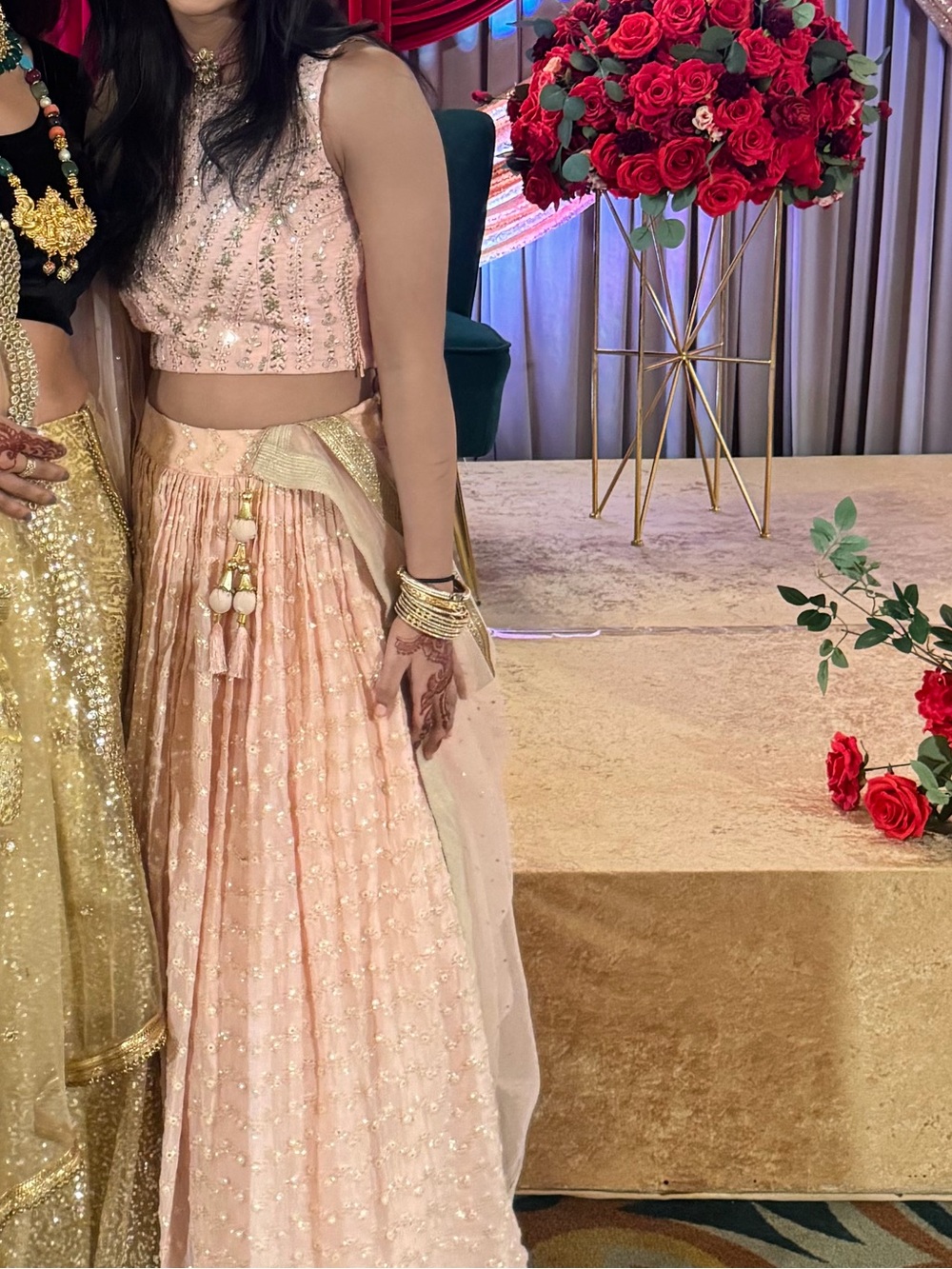 Blush Pink Embellished Lehenga Set size 0 - Picture 16 of 16